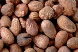 Shea Nut from Ghana